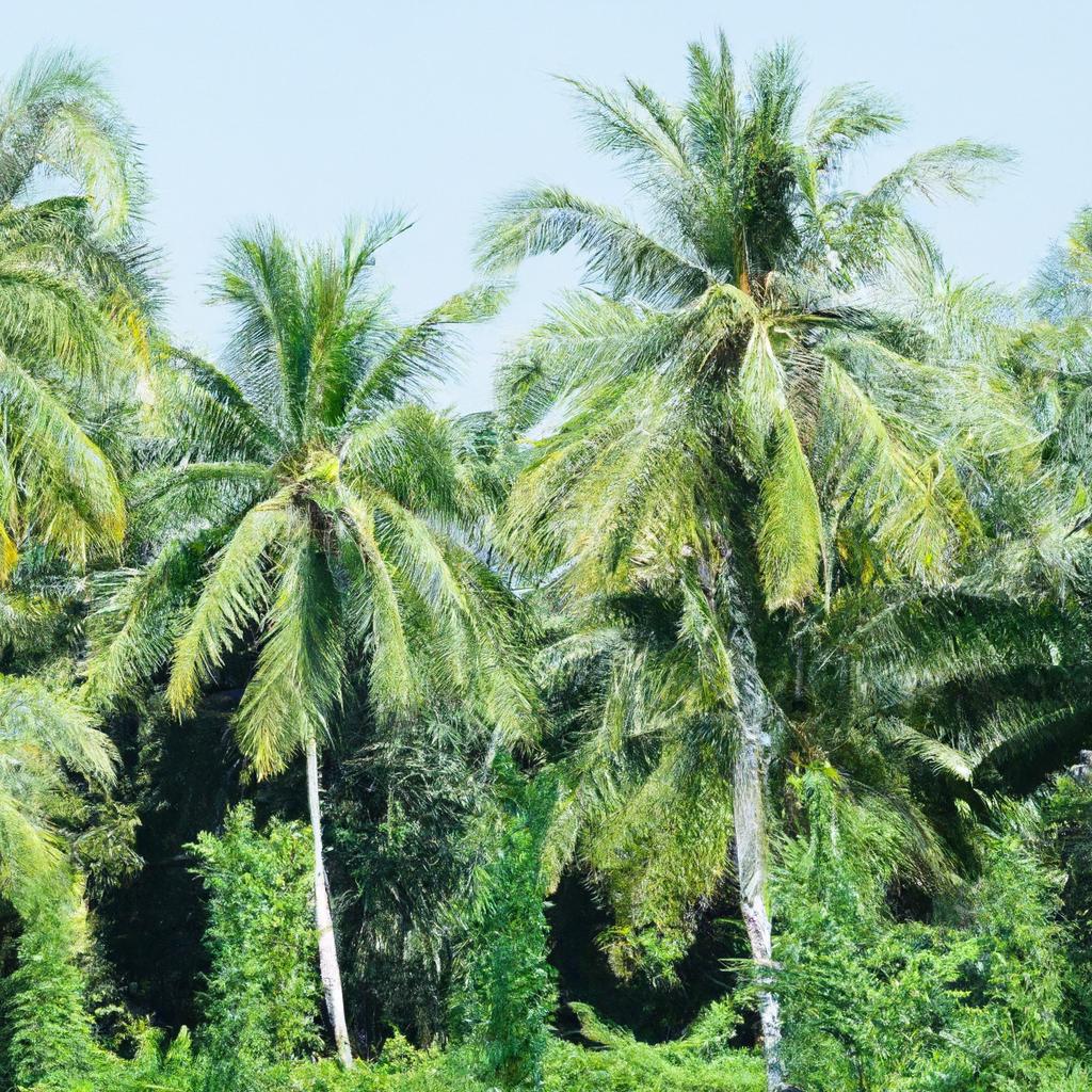 Fomento à biodiversidade local